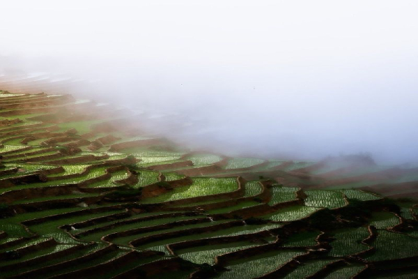 3D 2N Pu Luong Featured Tour: Serenity and Discovery Amidst Nature - photo 21